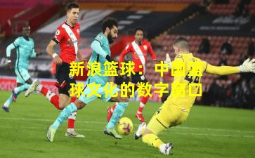新浪篮球：中国篮球文化的数字窗口