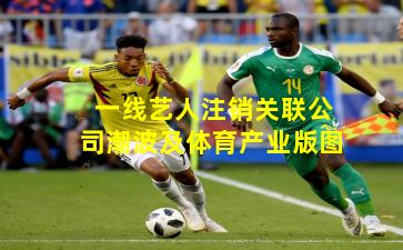 一线艺人注销关联公司潮波及体育产业版图