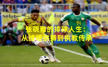 张晓雅的排球人生:从球场拼搏到执教传承