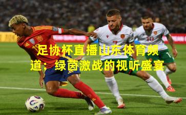 足协杯直播山东体育频道:绿茵激战的视听盛宴