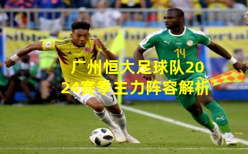 广州恒大足球队2024赛季主力阵容解析