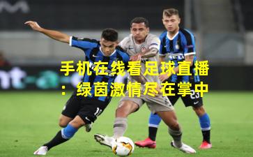 手机在线看足球直播：绿茵激情尽在掌中